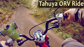 Honda Trail 125 /110 in Tahuya ORV Park | Honda CT110 Trail Ride