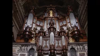 Reger - Ein feste Burg (Berlin Cathedral, Sauer Organ, 1905)