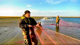 Рыбалка сетями на омуля. Налим. Хариус. Голец. Полярный Урал. Карское море | С полем! Лучшие выпуски