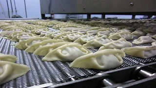 Dumplings Production Process With Modern Automatic Machines