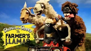 Shaun the Sheep: The Farmer's Llamas | Part 2