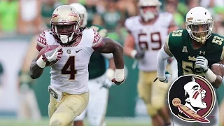 Dalvin Cook: Best Plays In Career-High Rushing Day for FSU vs USF
