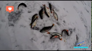 Риболовля у лютому. Рибне асорті