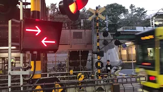 踏切と電車と棒立ち男（A Japanese railroad crossing bar）