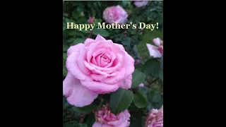 To All the Mothers Out There - Ep 88
