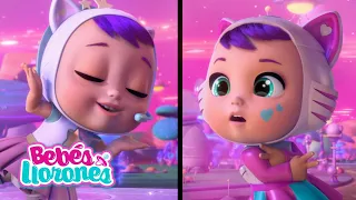 DUO de BAILE 😋🩰 Bebés Llorones Lágrimas Mágicas 💕 Dibujos animados para niños en español