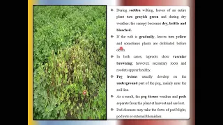 Wilt disease of field crops