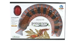 Infrared Electric Remote Control Centipede Scolopendra Unboxing Toy Review