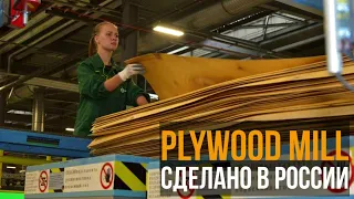 Vyatka plywood mill of Segezha Group in Kirov