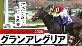 【マイルチャンピオンシップ 2020】快速女王グランアレグリア春秋マイルGⅠ制覇《実況：石田一洋》