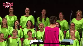 Choir - The Lion Sleeps Tonight - Stazka Solcova (arrangement, conductor), Canticorum Pilsen 2012