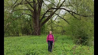 Хотьково - Радонеж 11.05.24