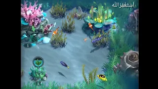 Very beautiful fish video