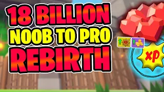 TOP 10 LEVEL 18 BILLION REBIRTH | NOOB TO PRO | Giant Simulator