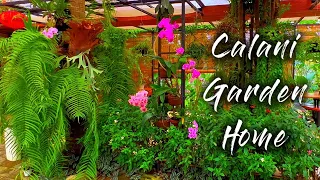 Inside look calani tropical garden | beautifull indoor garden home flower 🌿✨🌺