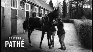 Horse Racing Stables (1950-1959)