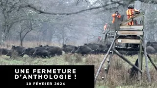 SANGLIERS, CERFS ET CHEVREUILS EN BATTUE - UNE FERMETURE D'ANTHOLOGIE !