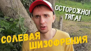 Солевая история/голоса шизофреника/история солевого наркомана