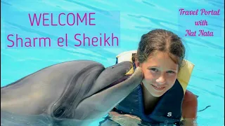 Welcome to the dolphinarium /// show with dolphins / musical performance ///