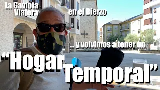 La Gaviota Viajera #121: Y VOLVIMOS👬a tener un HOGAR TEMPORAL🏠