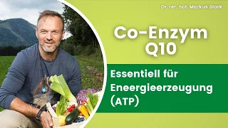 ⚡ Ausreichend Energie durch Coenzym Q10 ⚡ Dr. rer. nat. Markus Stark erklärt