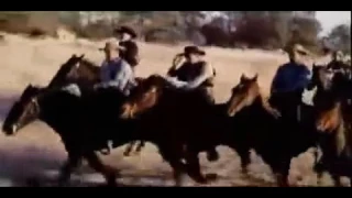 Rage At Dawn 1955 • Randolph Scott Complete Western &