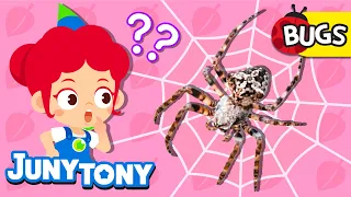 I’m Not An Insect | 🕷Spider, Earthworm | Facts About Bugs | Insect Songs for Kids | JunyTony