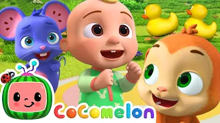 Play Duck Duck Goose with JJ! | CoComelon Animal Time | Animal Nursery Rhymes