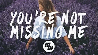 Chelsea Cutler - You're Not Missing Me (Lyrics / Lyric Video)