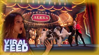 Young Contestant WOWS judges with incredible Dog Tricks on BGT CHAMPIONS | VIRAL FEED