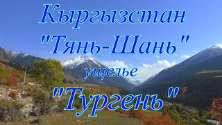 Кыргызстан, горы Тянь-Шань, Иссык-Кульская область ущелье Тургень.