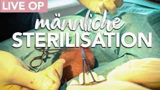 Exklusiv: Live-OP einer Vasektomie – Männliche Sterilsation. Alles, was Du wissen musst! Verhütung