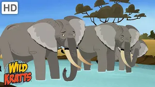 Really Big Creatures | Whales, Elephants, Sharks + more! [Full Episodes] Wild Kratts