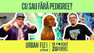 RĂZVAN & BUDDY. TIMP LIBER ÎMPREUNĂ CU ANIMĂLUȚUL TAU | Urban Flex cu Otravă 40