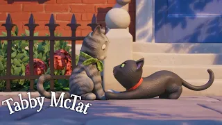 Tabby McTat Has a Crush🩷 @GruffaloWorld: Compilation