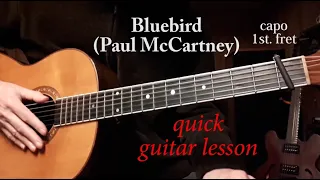 Bluebird (Paul McCartney) - quick lesson with capo 1st. fret