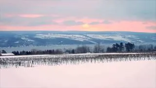 Finger Lakes: Cool Climate Wines