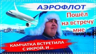 КАМЧАТКА ВСТРЕЧАЙ ! АЭРОФЛОТ ПОШЛИ МНЕ НА ВСТРЕЧУ ! НА КАМЧАТКЕ ВСТРЕТИЛИ МЕСТНЫЕ КАК "ЦАРЯ" !