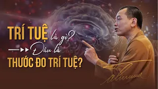 TRÍ TUỆ là gì, đâu là THƯỚC ĐO TRÍ TUỆ? | Ngô Minh Tuấn | Học Viện CEO Hà Nội