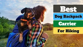 ✅ Best Dog Backpack Carrier for Hiking | Top 5 Dog Backpack Carriers Review