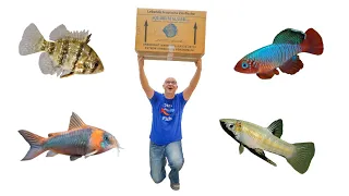 Unboxing the GOOD STUFF!!! New Aquarium Fish