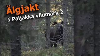 Älgjakt i Paljakka vildmark 2 (Eng. subs.)