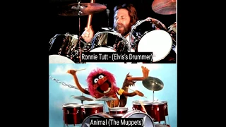 Ron Tutt (Elvis Presley's drummer) e Animal (The Muppets)