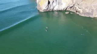 Surfers at Yaquina head/Agate Beach Newport Oregon