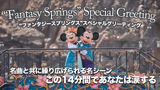 “ファンタジースプリングス”スペシャルグリーティング / 東京ディズニーシー : “Fantasy Springs” Special Greeting / Tokyo DisneySea