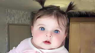 Funny Baby Videos - The Ultimate Try Not to Laugh Challenge