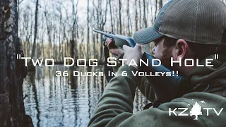 36 Ducks In 6 Volleys!! (Arkansas Swamp Ducks) K ZONE TV: "Two Dog Stand Hole"