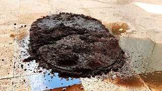 Cleaning a Rug Flooded With heavy Mud | Satisfying ASMR Rug Washing