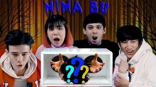 NIMA BU #3: Komol Qohhorov, Dudosh, Aslbek emir, JECO