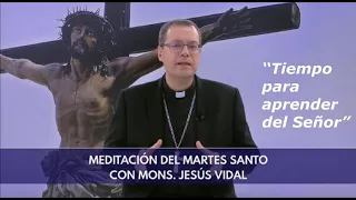 Meditación del Martes Santo: “Tiempo para aprender del Señor” / Por Mons. Jesús Vidal